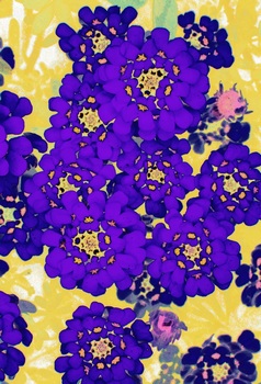 F 045E